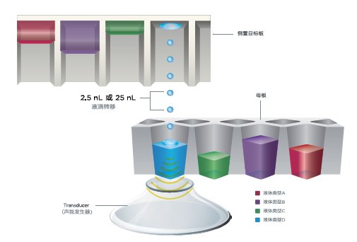 100746_503441_jswz.png 100746_503441_jswz.png