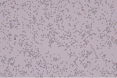 102746_896259_gsdt.png 102746_896259_gsdt.png