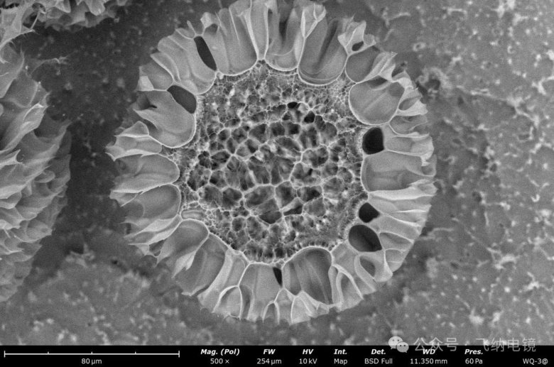 095512_138508_gsdt.jpg 095512_138508_gsdt.jpg