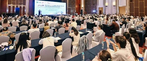 141802_144873_gsdt.png 141802_144873_gsdt.png