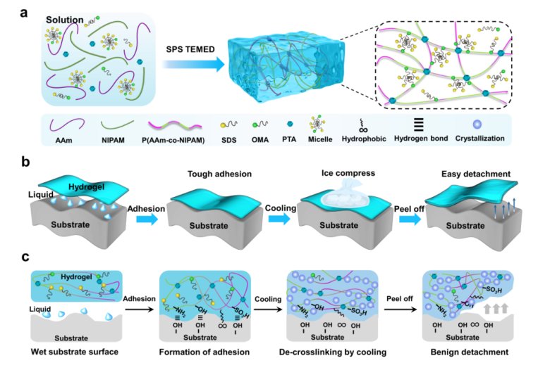 172205_435627_gsdt.png 172205_435627_gsdt.png