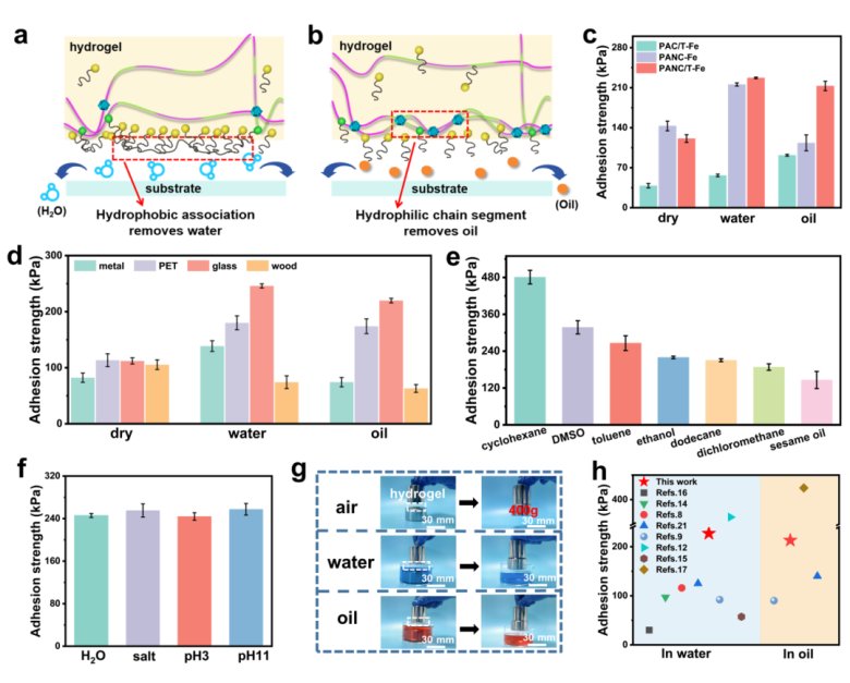 172411_995716_gsdt.png 172411_995716_gsdt.png