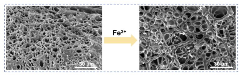 172426_770797_gsdt.png 172426_770797_gsdt.png