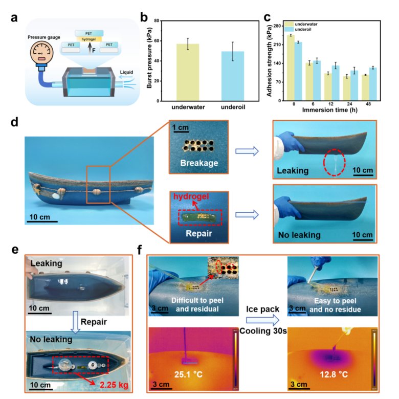 172452_163593_gsdt.png 172452_163593_gsdt.png