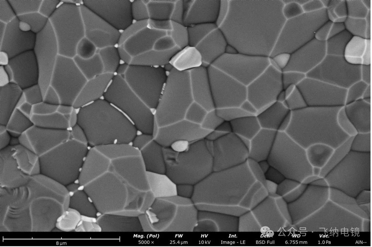 飛納電鏡背散射電子像