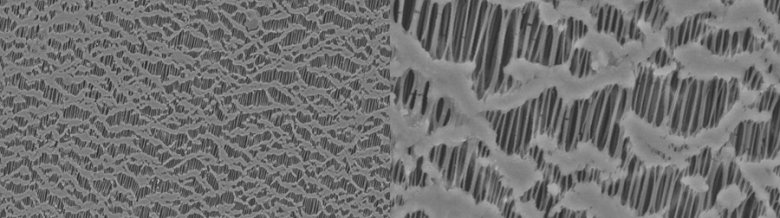 154434_569738_jswz.jpg 6388878148485322558857741.jpg