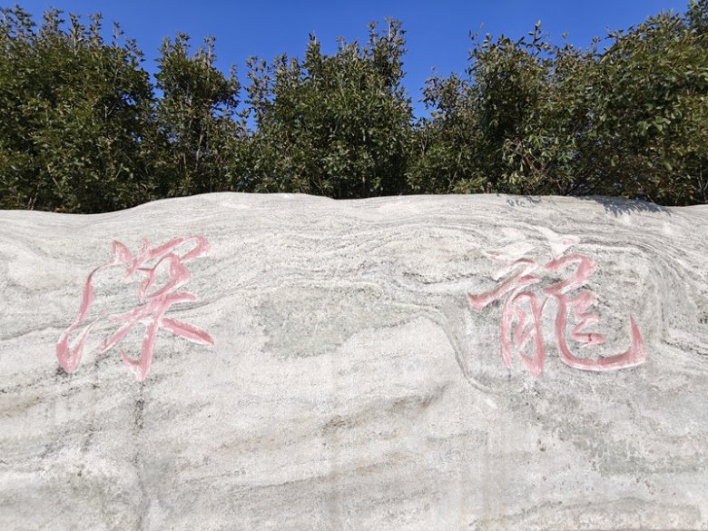 141236_817320_gsdt.jpg 河北深龍醫藥有限公司.jpg