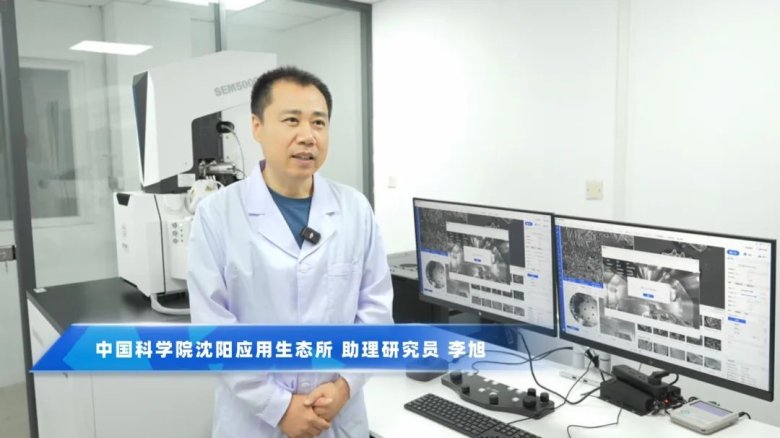 161802_526084_gsdt.jpg 161802_526084_gsdt.jpg