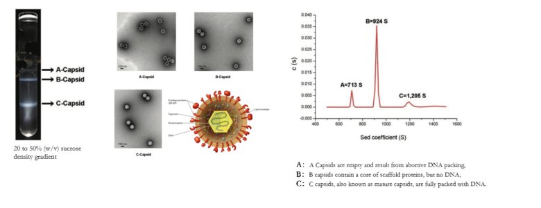 103117_553962_jswz.png 103117_553962_jswz.png