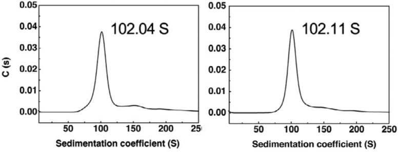 103257_989797_jswz.png 103257_989797_jswz.png