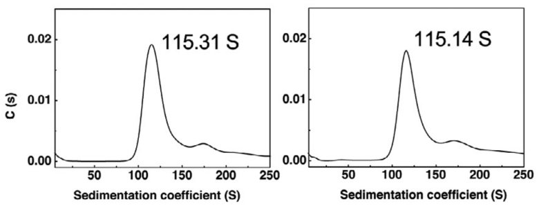 103300_530545_jswz.png 103300_530545_jswz.png