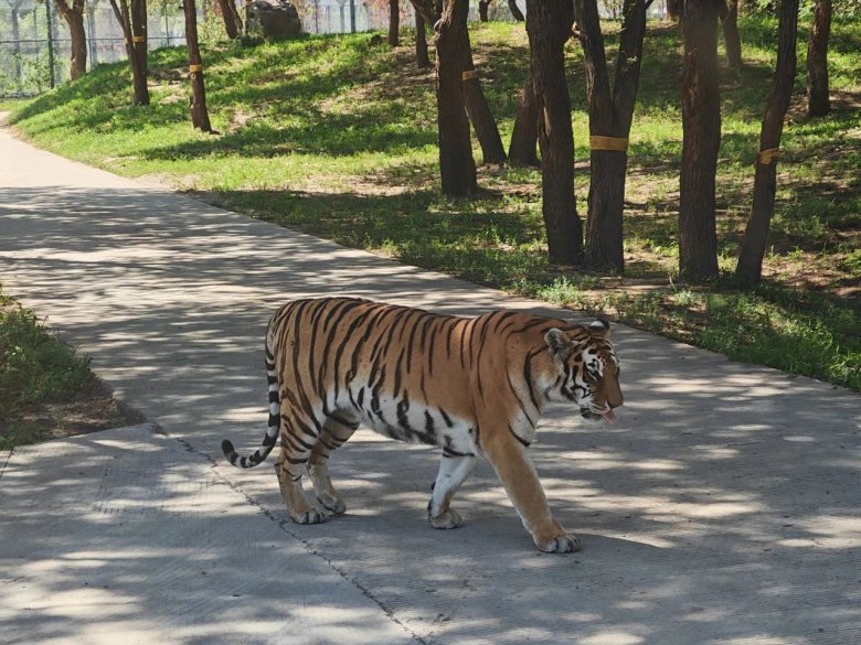 134756_761520_gsdt.jpg 134756_761520_gsdt.jpg