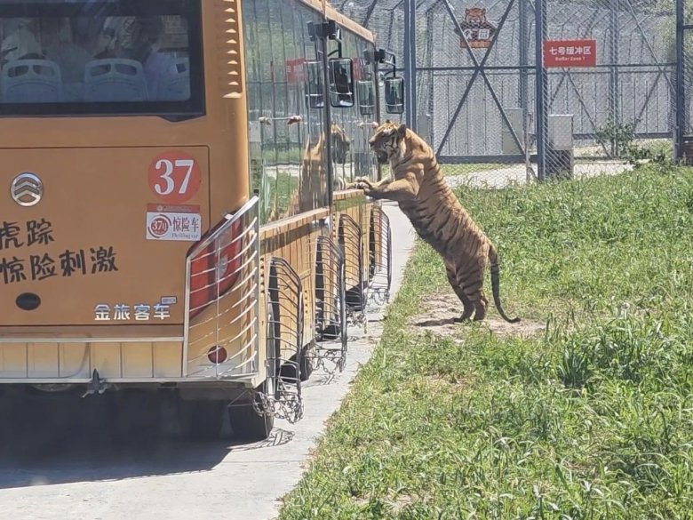 134759_827144_gsdt.jpg 134759_827144_gsdt.jpg