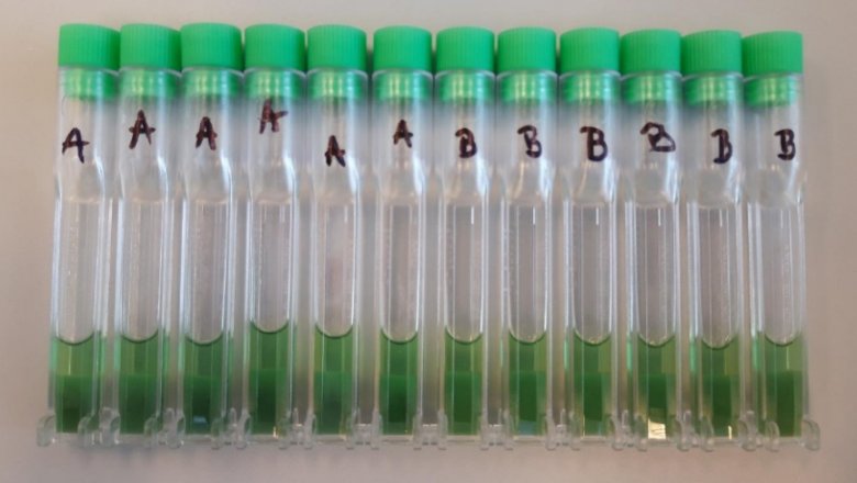 085002_938285_jswz.png 085002_938285_jswz.png