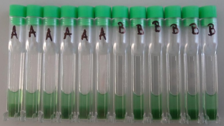 085156_754158_jswz.png 085156_754158_jswz.png