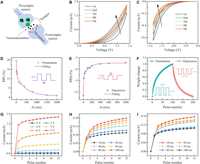 091123_216406_gsdt.png 091123_216406_gsdt.png