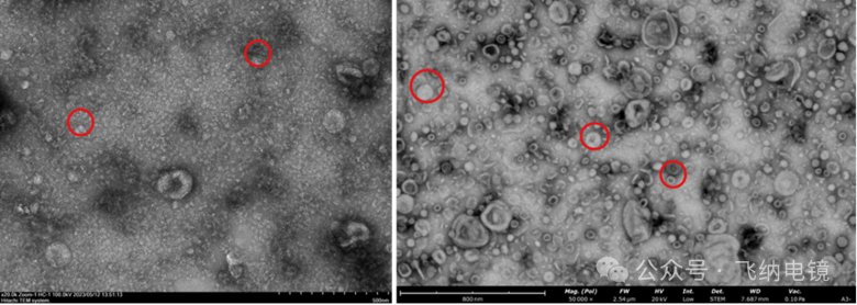 152714_220521_gsdt.png 152714_220521_gsdt.png