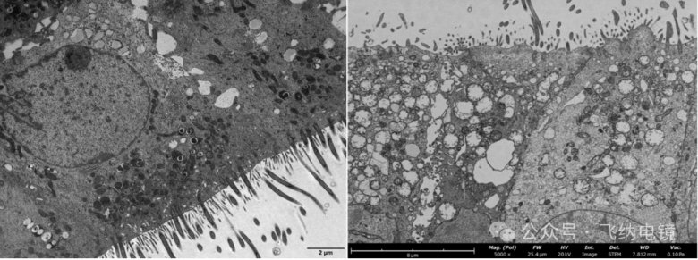 152903_226686_gsdt.png 152903_226686_gsdt.png