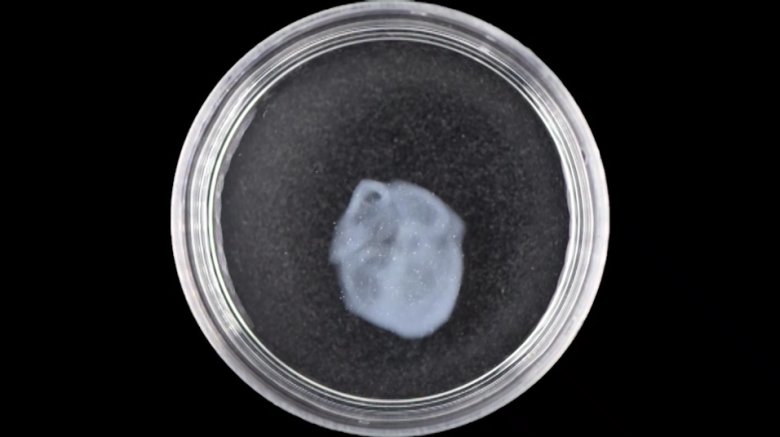 083140_614095_gsdt.png 083140_614095_gsdt.png