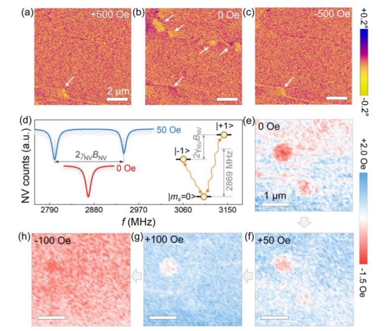 082034_720085_gsdt.png 082034_720085_gsdt.png