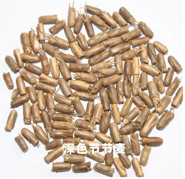 092440_889875_gsdt.png 092440_889875_gsdt.png