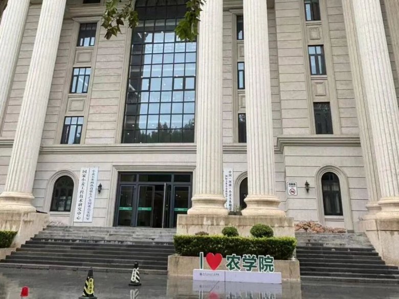 101623_256812_gsdt.jpg 101623_256812_gsdt.jpg