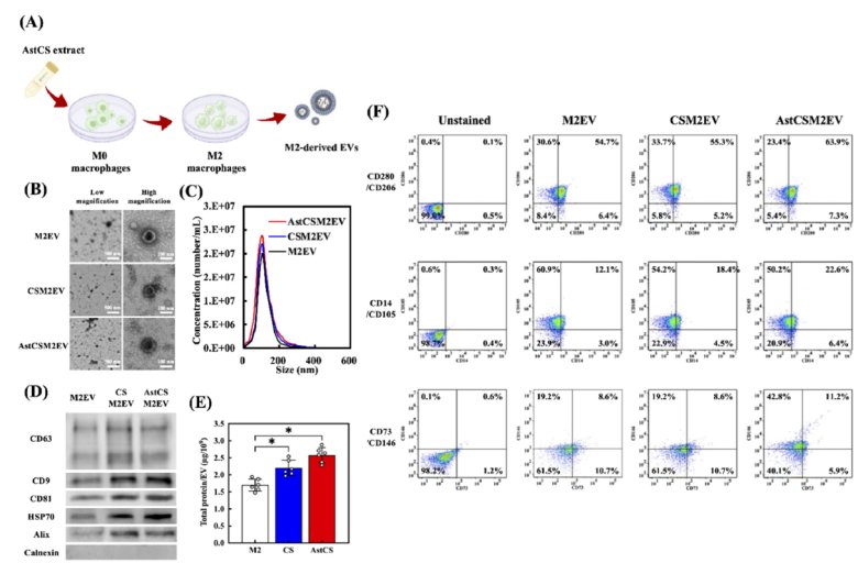 083116_664968_jswz.png 083116_664968_jswz.png