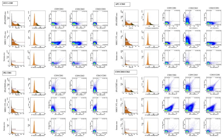 083528_603429_jswz.png 083528_603429_jswz.png