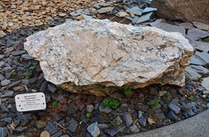 �����r�͸߼�ʯӢԭ�ϲ�����Щ���T������